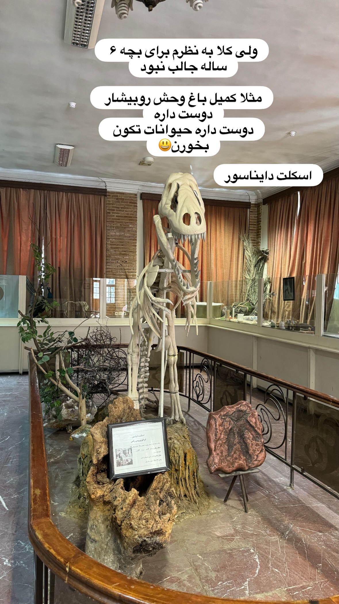  جدید ترین استوری اینستاگرام نورا بانو