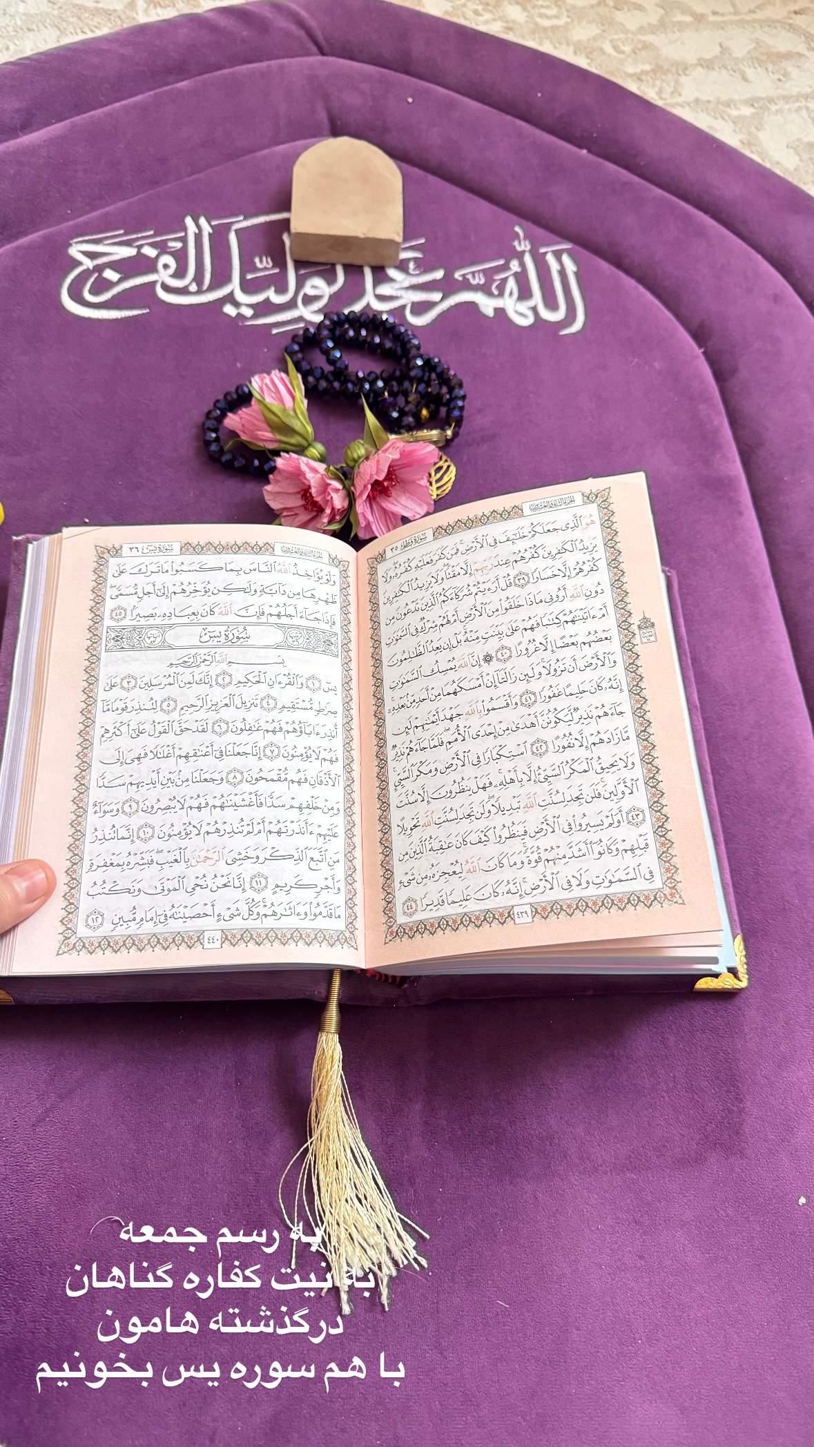  جدید ترین استوری اینستاگرام نورا بانو