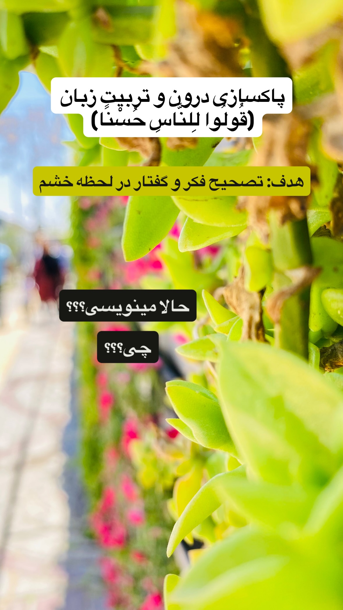  جدید ترین استوری اینستاگرام نورا بانو