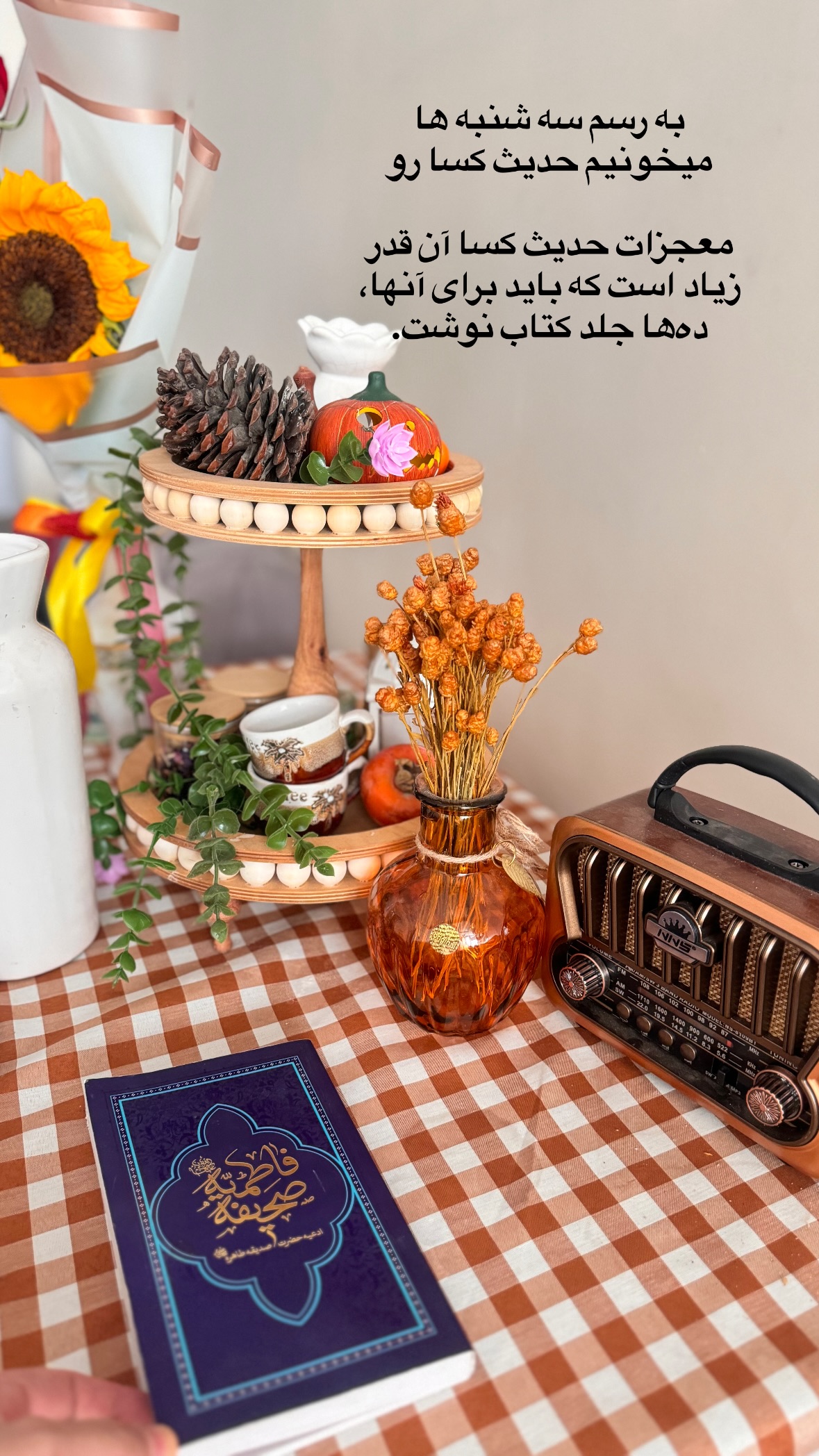 جدید ترین استوری اینستاگرام نورا بانو