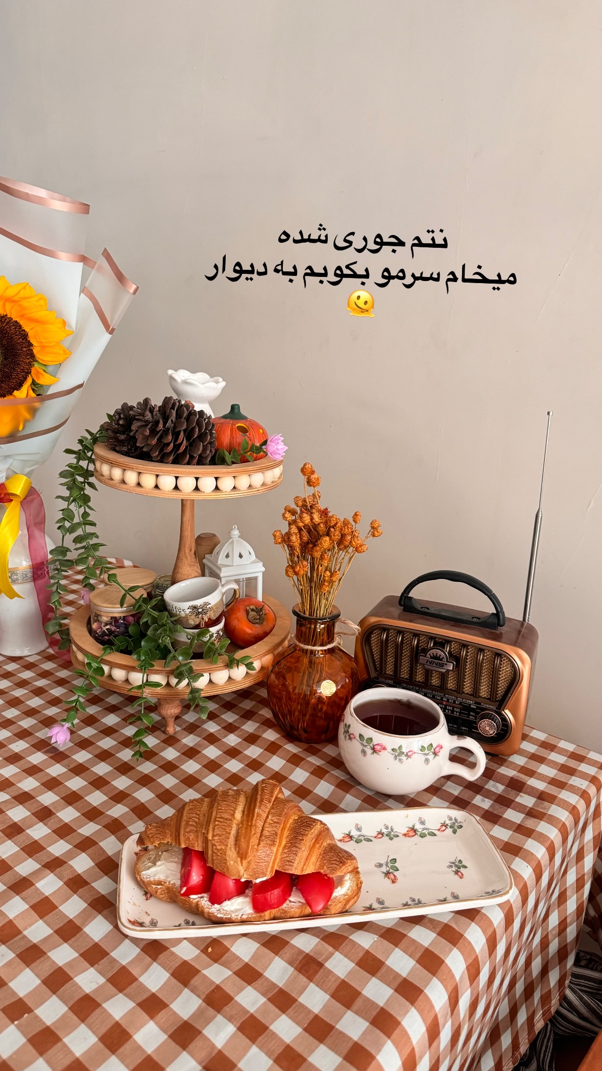  جدید ترین استوری اینستاگرام نورا بانو