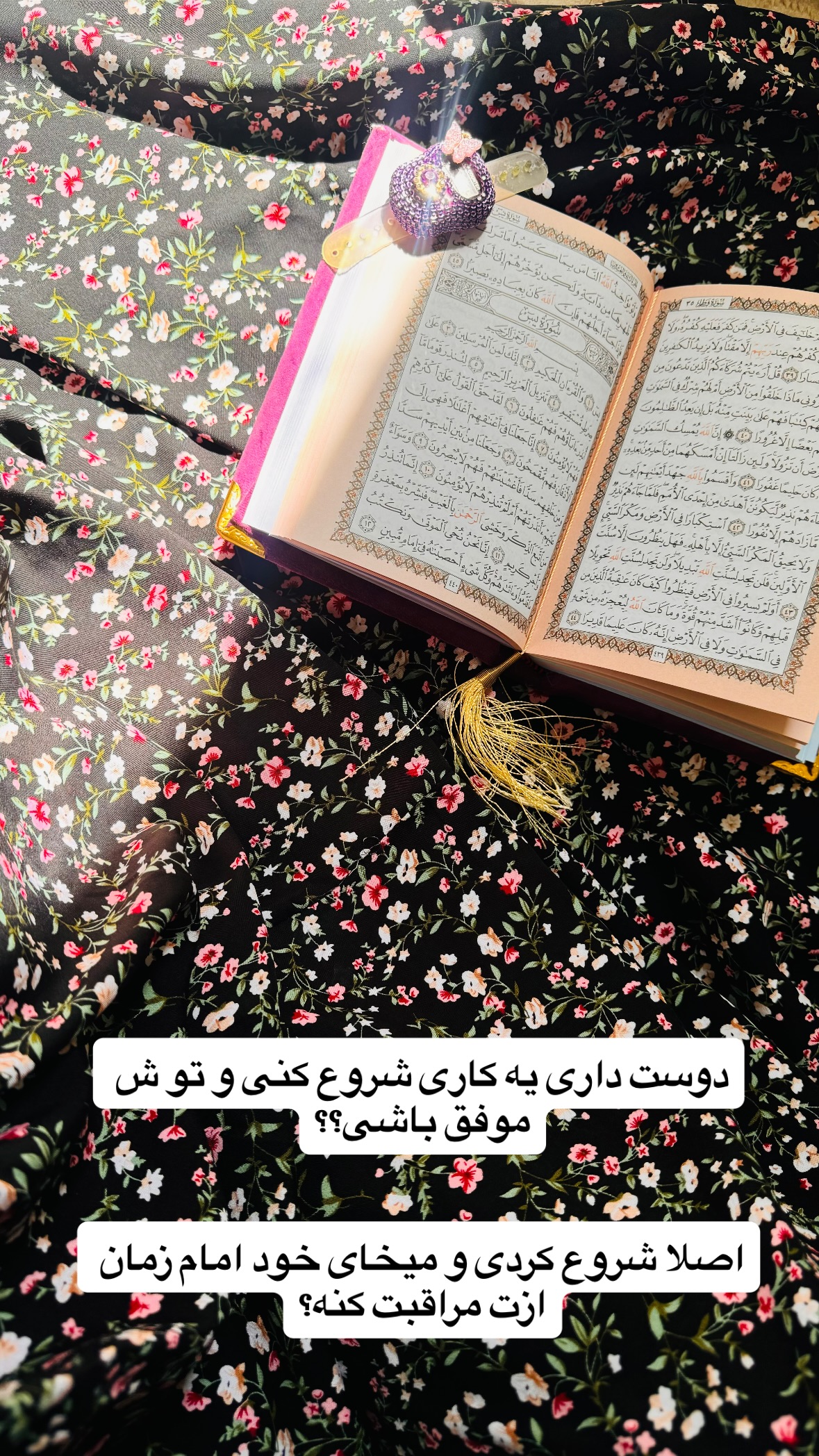  جدید ترین استوری اینستاگرام نورا بانو