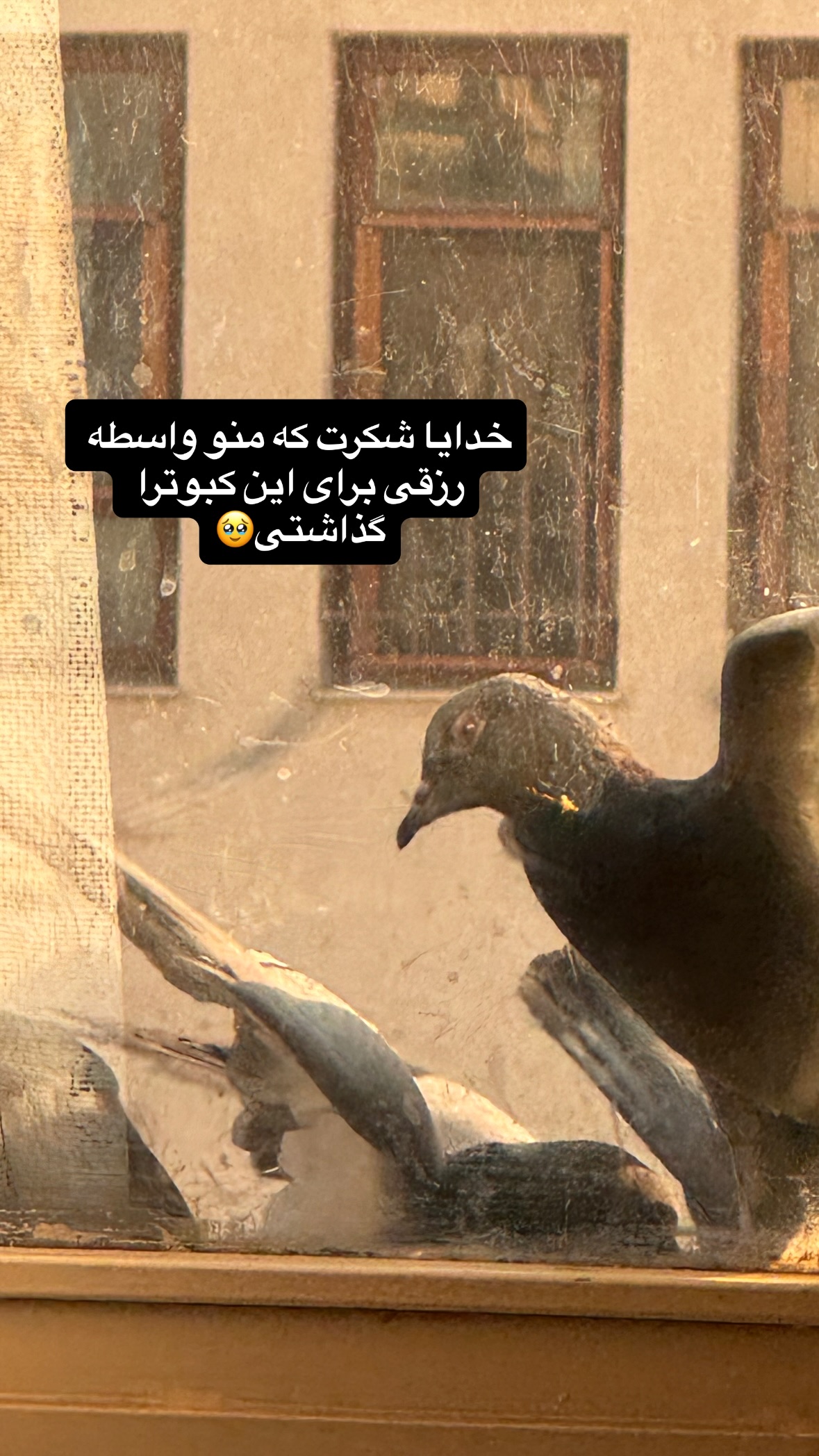  جدید ترین استوری اینستاگرام نورا بانو
