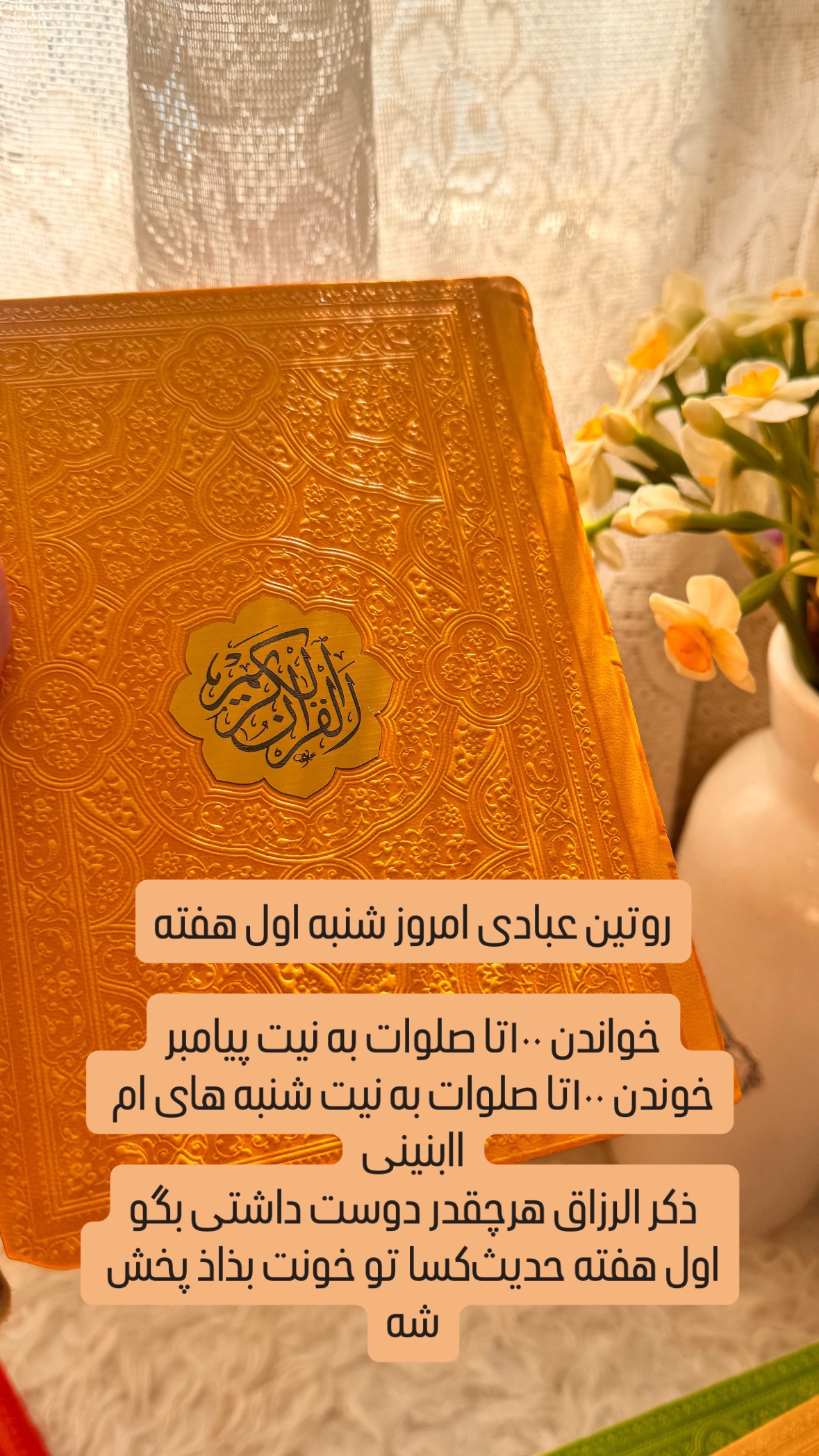  جدید ترین استوری اینستاگرام نورا بانو