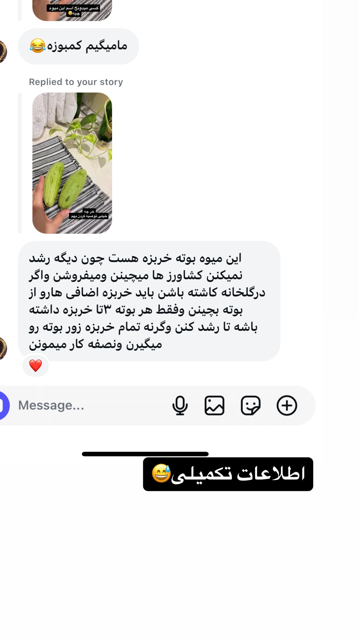  جدید ترین استوری اینستاگرام نورا بانو
