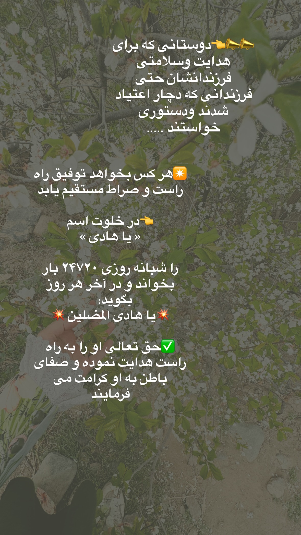  جدید ترین استوری اینستاگرام نورا بانو