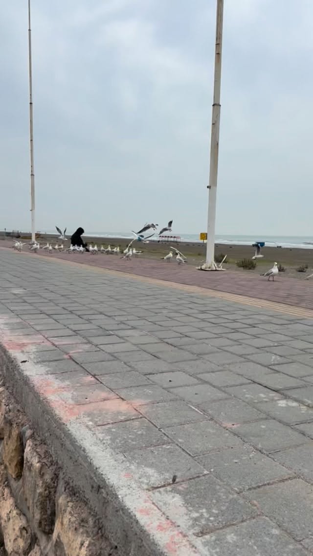  جدید ترین استوری اینستاگرام نورا بانو