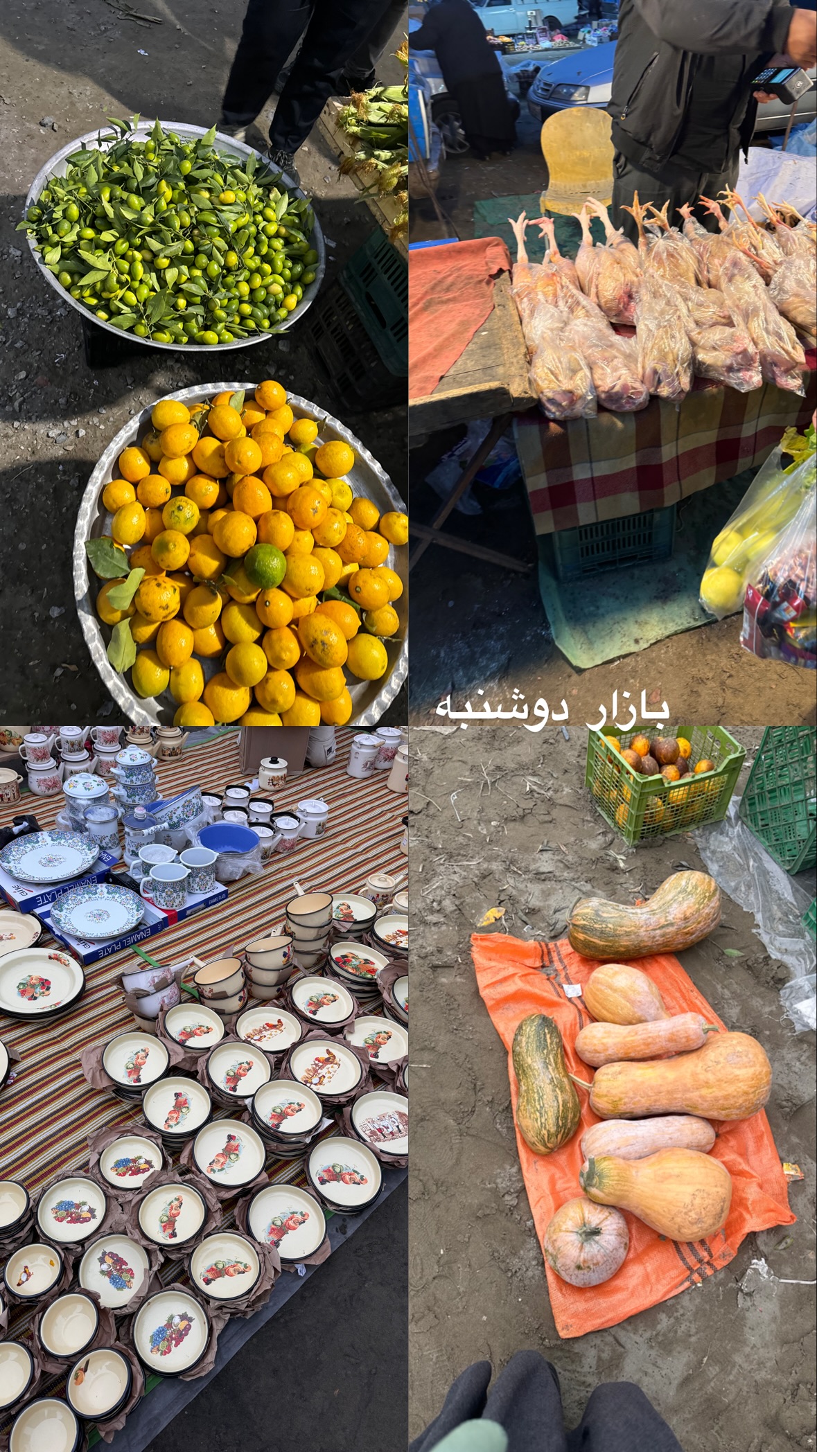  جدید ترین استوری اینستاگرام نورا بانو