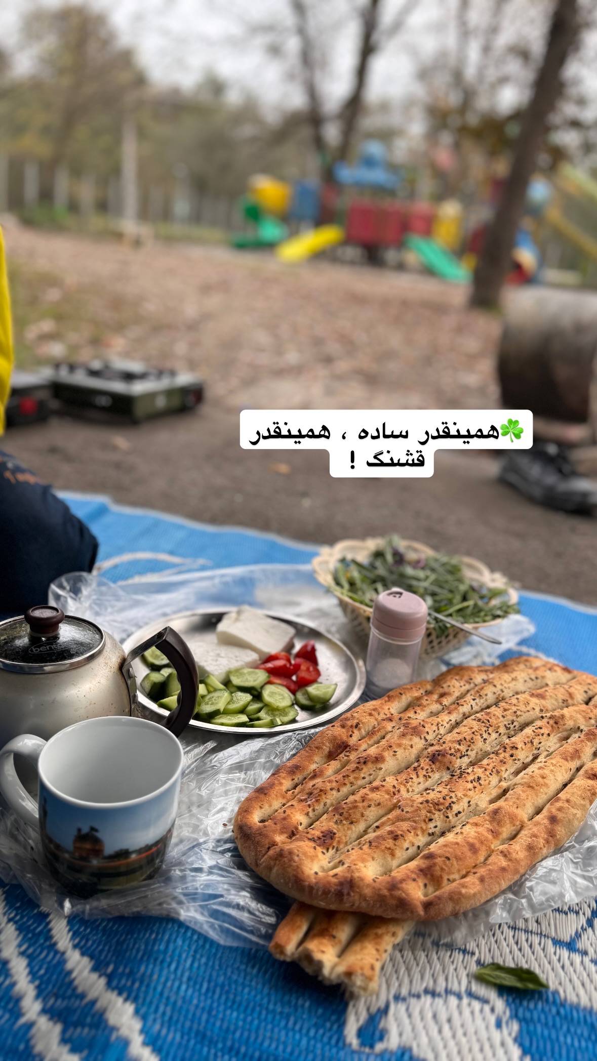  جدید ترین استوری اینستاگرام نورا بانو