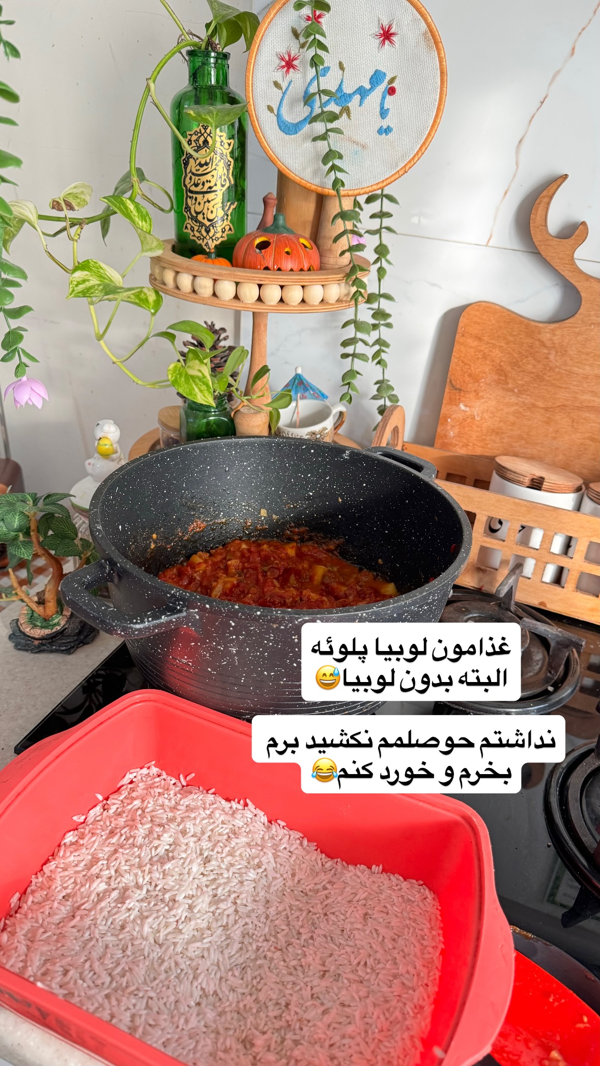  جدید ترین استوری اینستاگرام نورا بانو