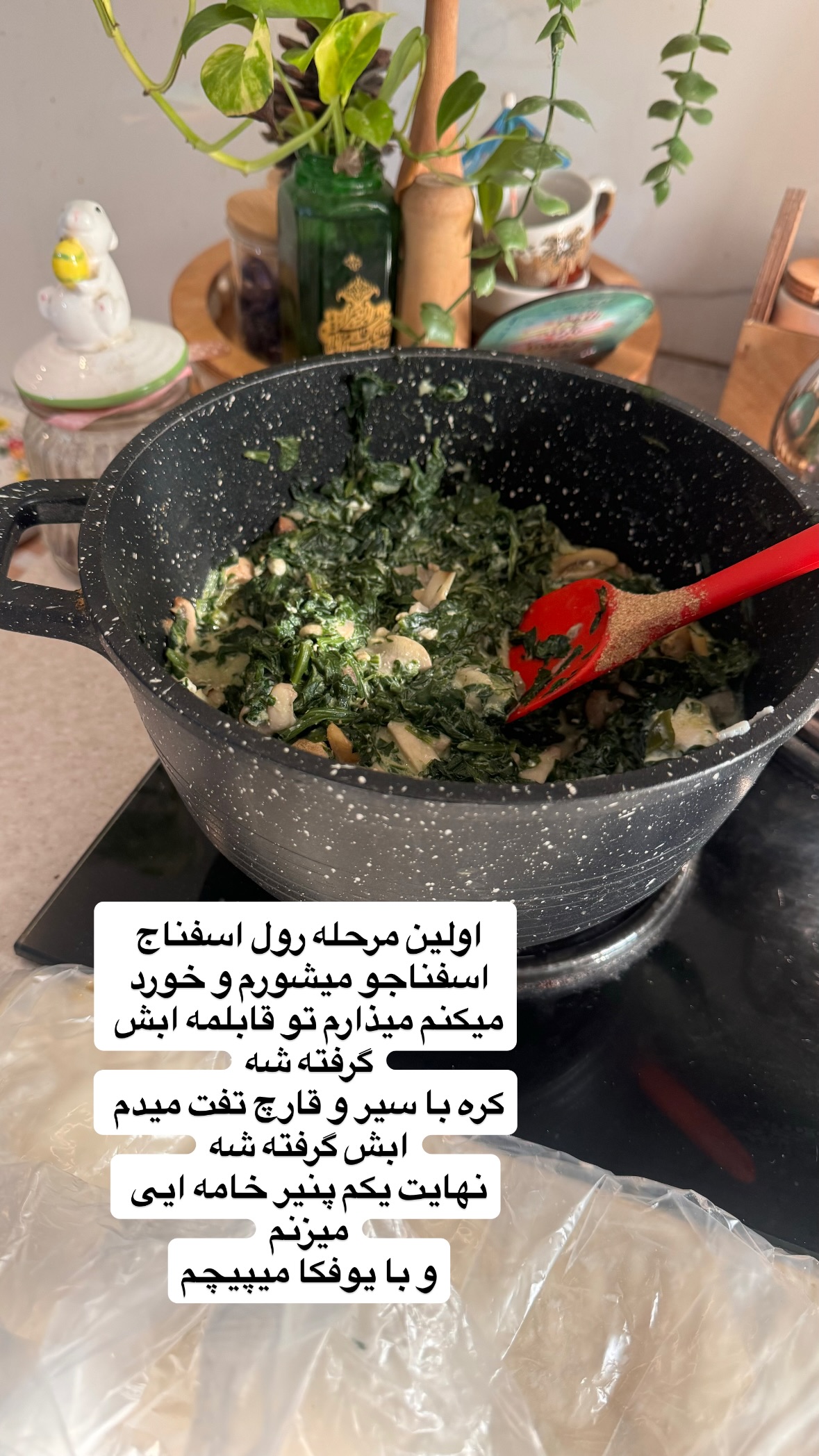  جدید ترین استوری اینستاگرام نورا بانو