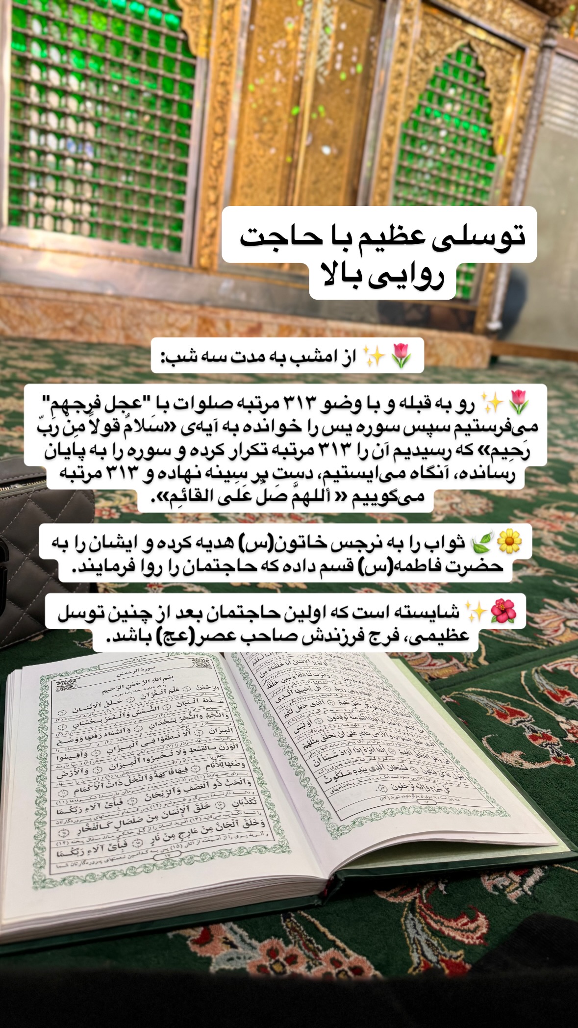  جدید ترین استوری اینستاگرام نورا بانو