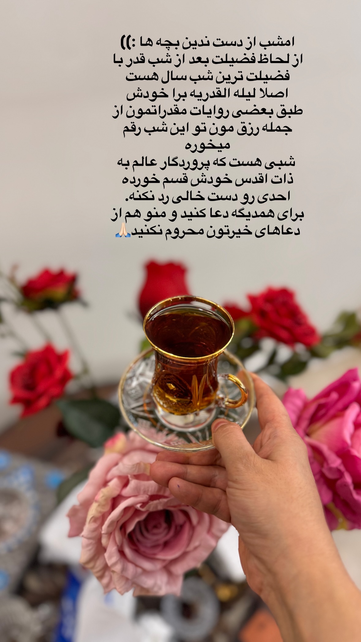  جدید ترین استوری اینستاگرام نورا بانو