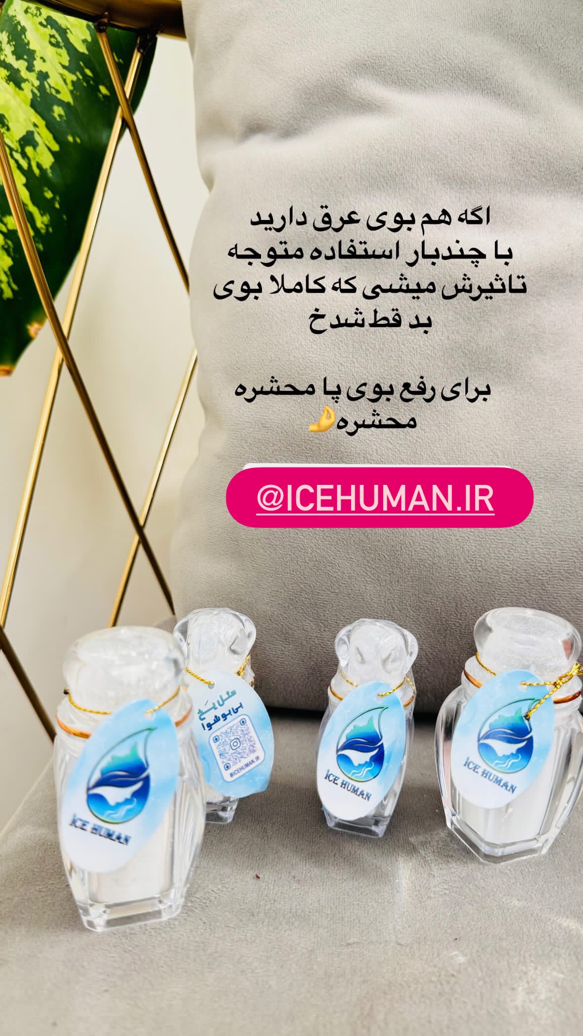  جدید ترین استوری اینستاگرام نورا بانو