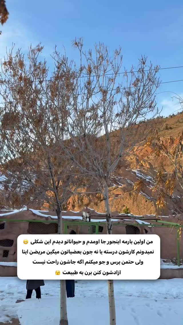  جدید ترین استوری اینستاگرام اولدوز
