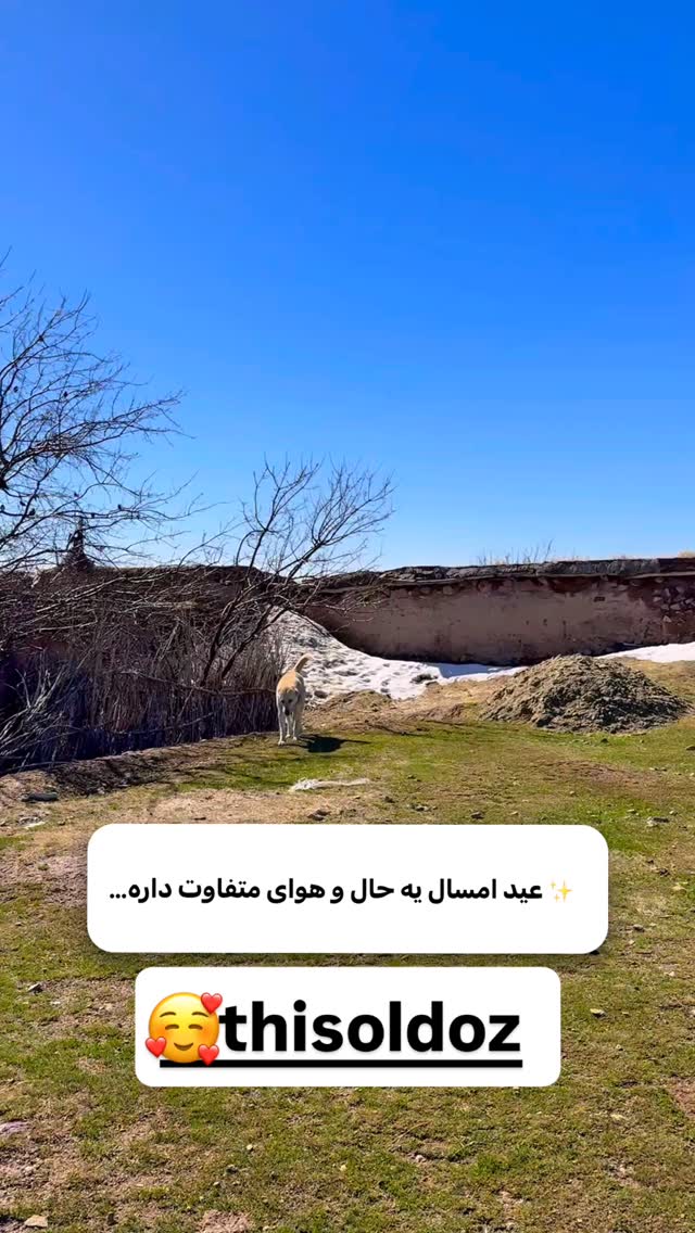  جدید ترین استوری اینستاگرام اولدوز