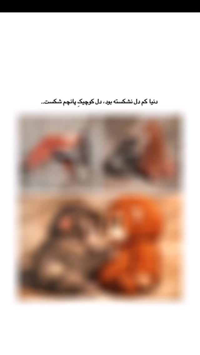  جدید ترین استوری اینستاگرام اولدوز