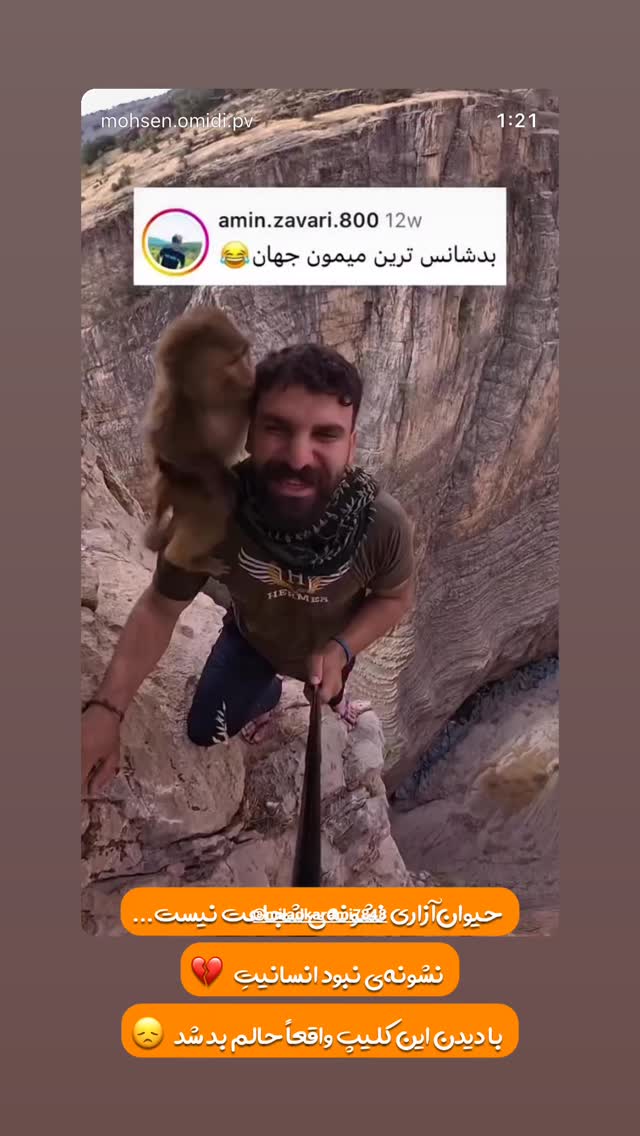  جدید ترین استوری اینستاگرام محسن امیدی