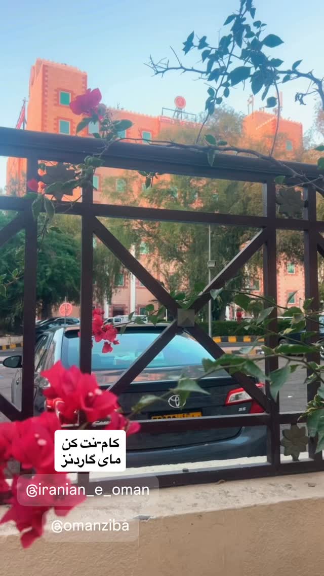  جدید ترین استوری اینستاگرام محسن امیدی