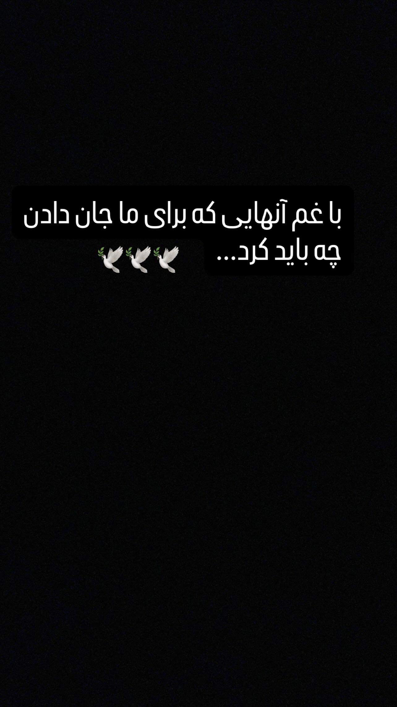  جدید ترین استوری اینستاگرام امید ابراهیمی
