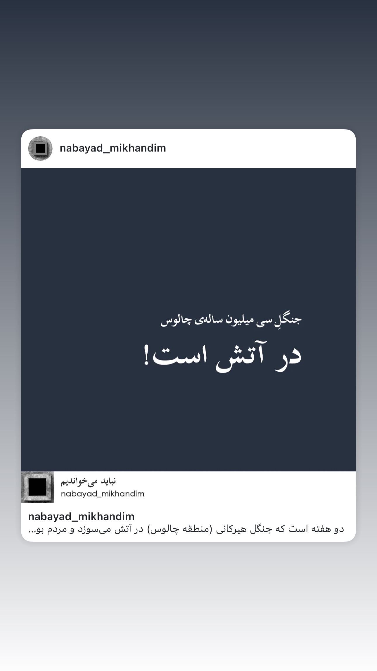  جدید ترین استوری اینستاگرام امید معلم