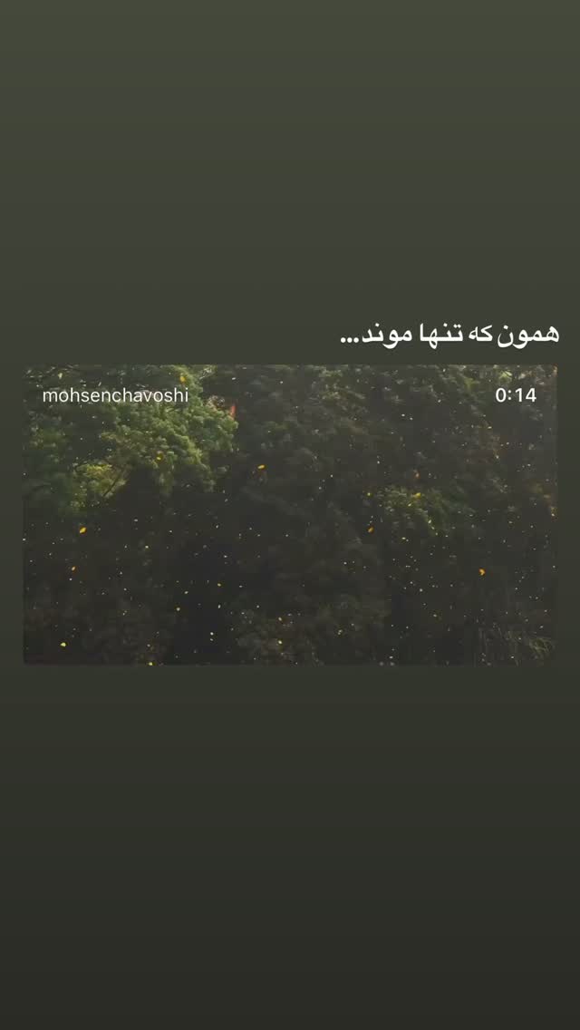  جدید ترین استوری اینستاگرام اميد روزبه