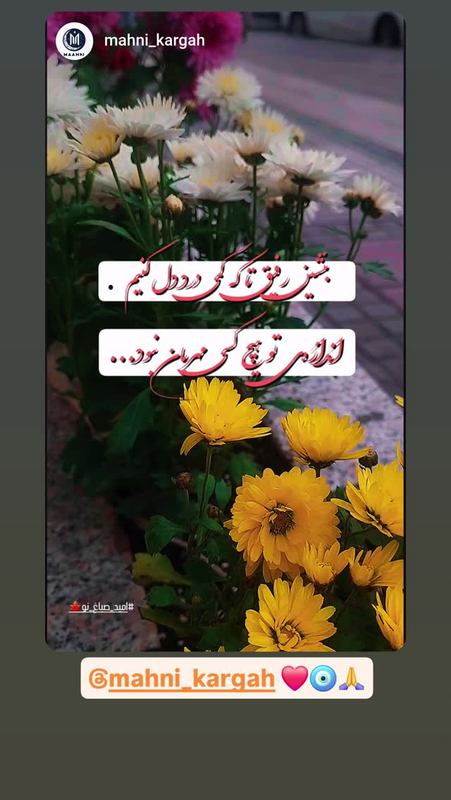  جدید ترین استوری اینستاگرام امید صباغ نو