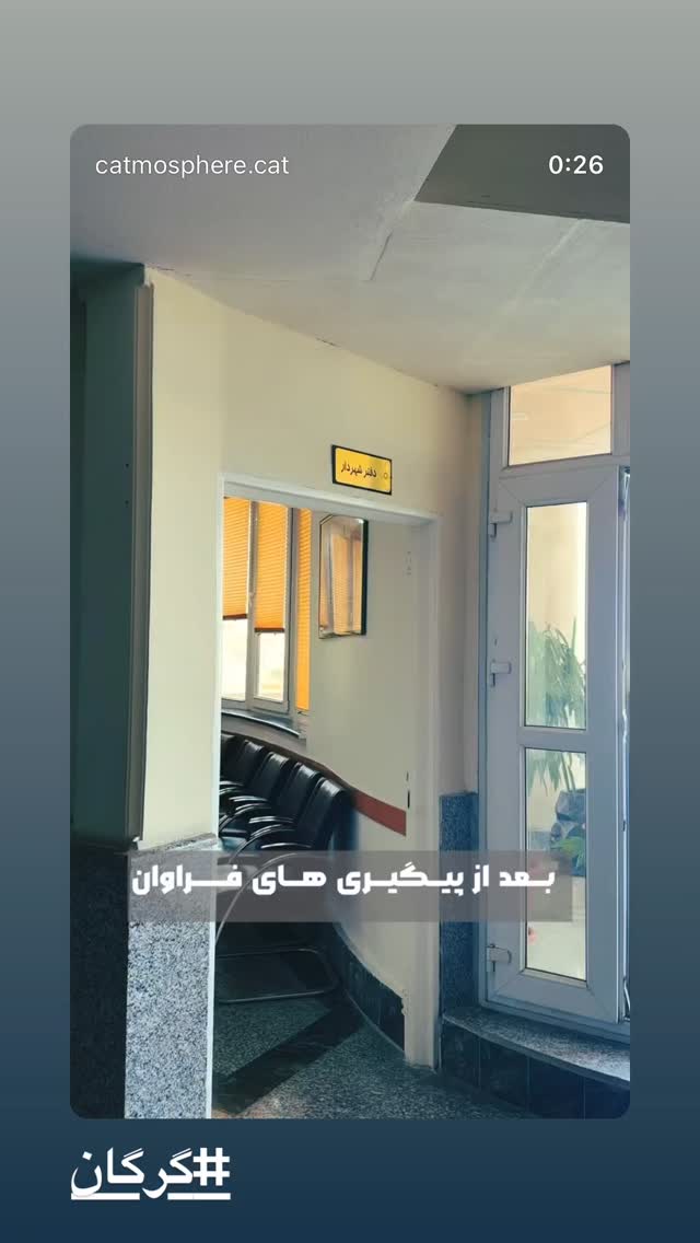  جدید ترین استوری اینستاگرام پانته آ پناهی ها