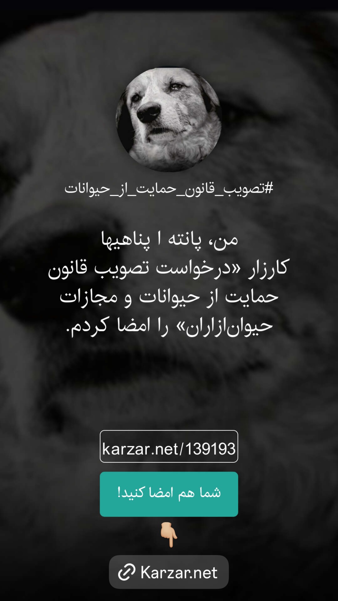  جدید ترین استوری اینستاگرام پانته آ پناهی ها
