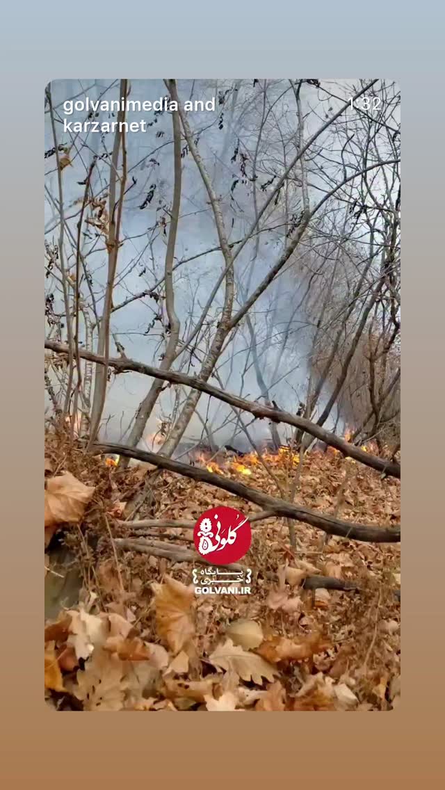  جدید ترین استوری اینستاگرام پانته آ پناهی ها