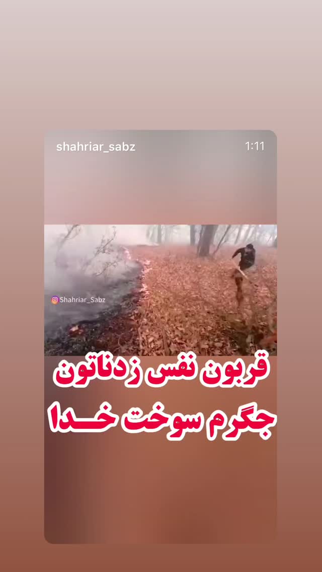  جدید ترین استوری اینستاگرام پانته آ پناهی ها