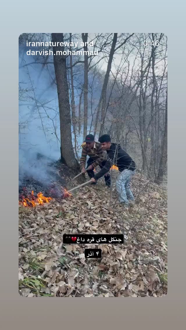  جدید ترین استوری اینستاگرام پانته آ پناهی ها