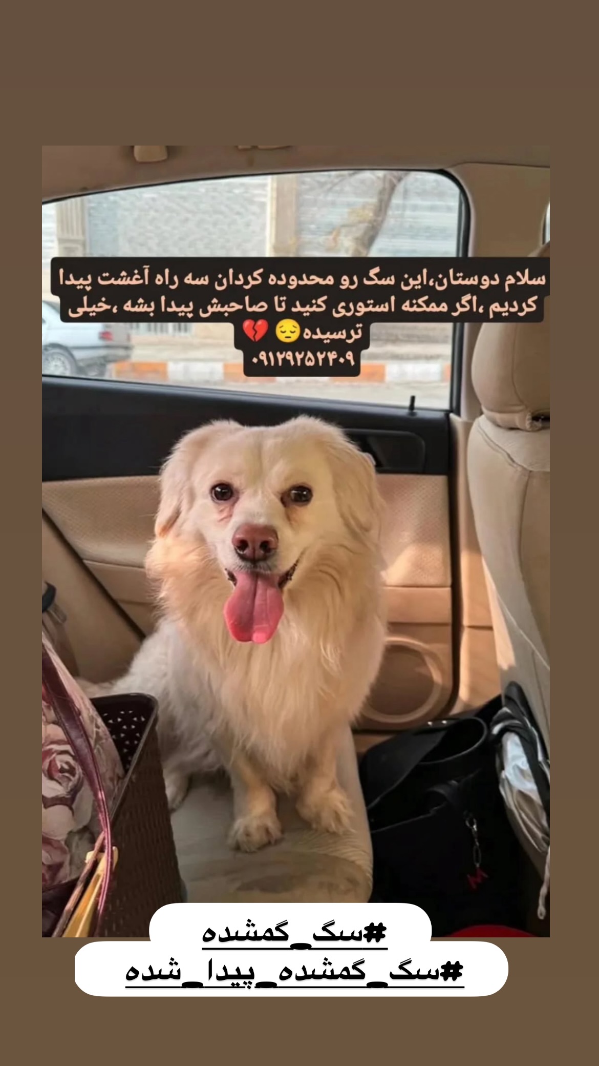  جدید ترین استوری اینستاگرام پانته آ پناهی ها