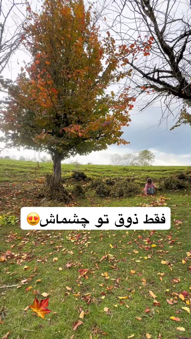  جدید ترین استوری اینستاگرام پانیاز اسدی