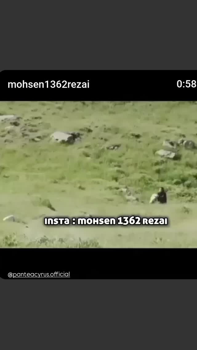  جدید ترین استوری اینستاگرام پانته آ سیروس