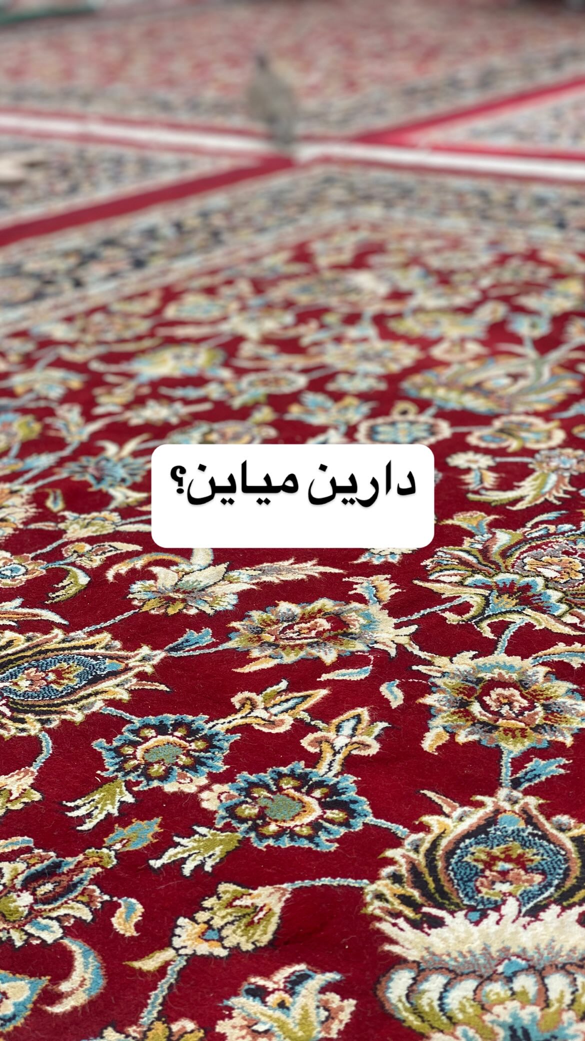  جدید ترین استوری اینستاگرام پرستو علی عسگرنجاد