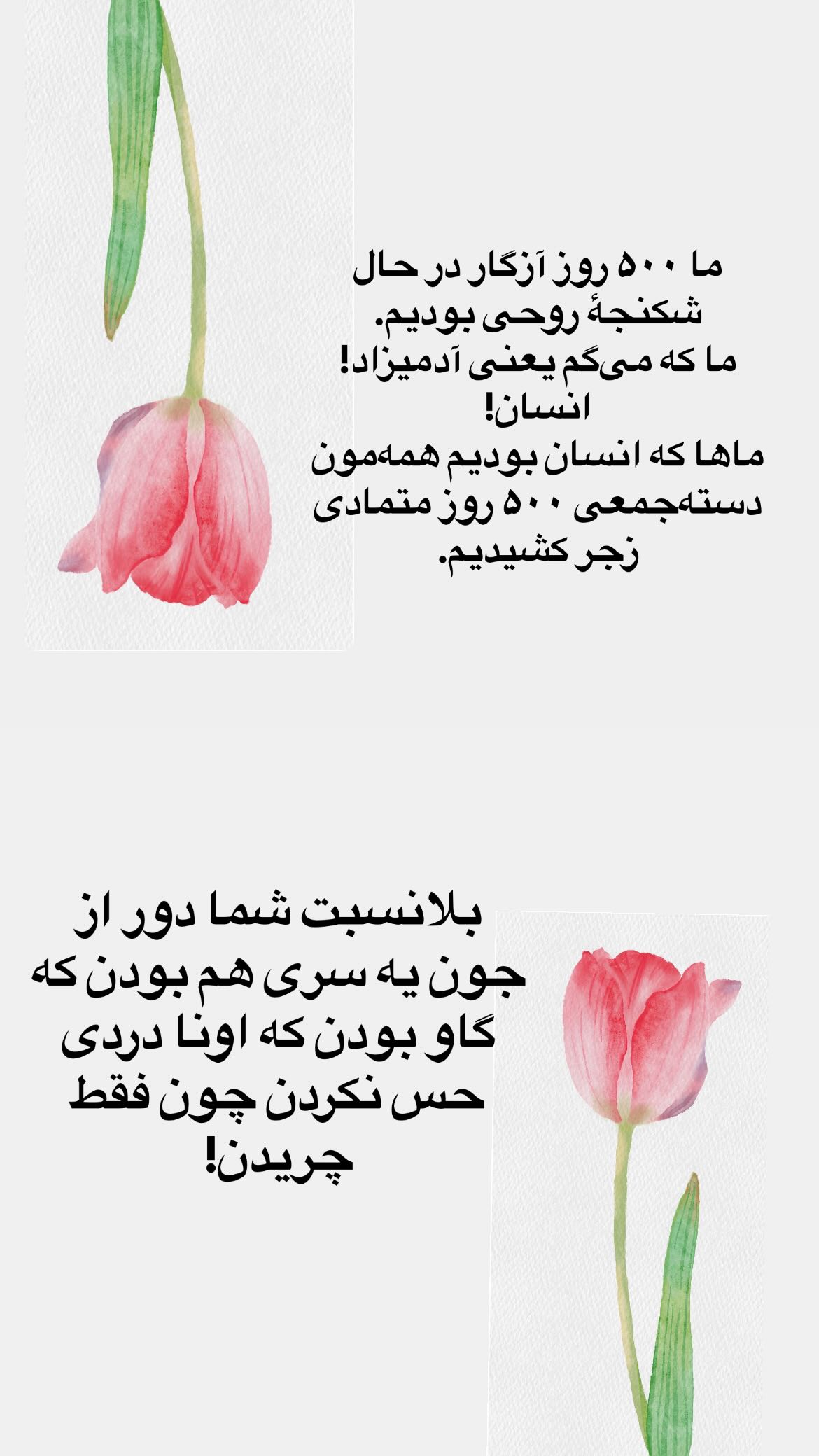  جدید ترین استوری اینستاگرام پرستو علی عسگرنجاد