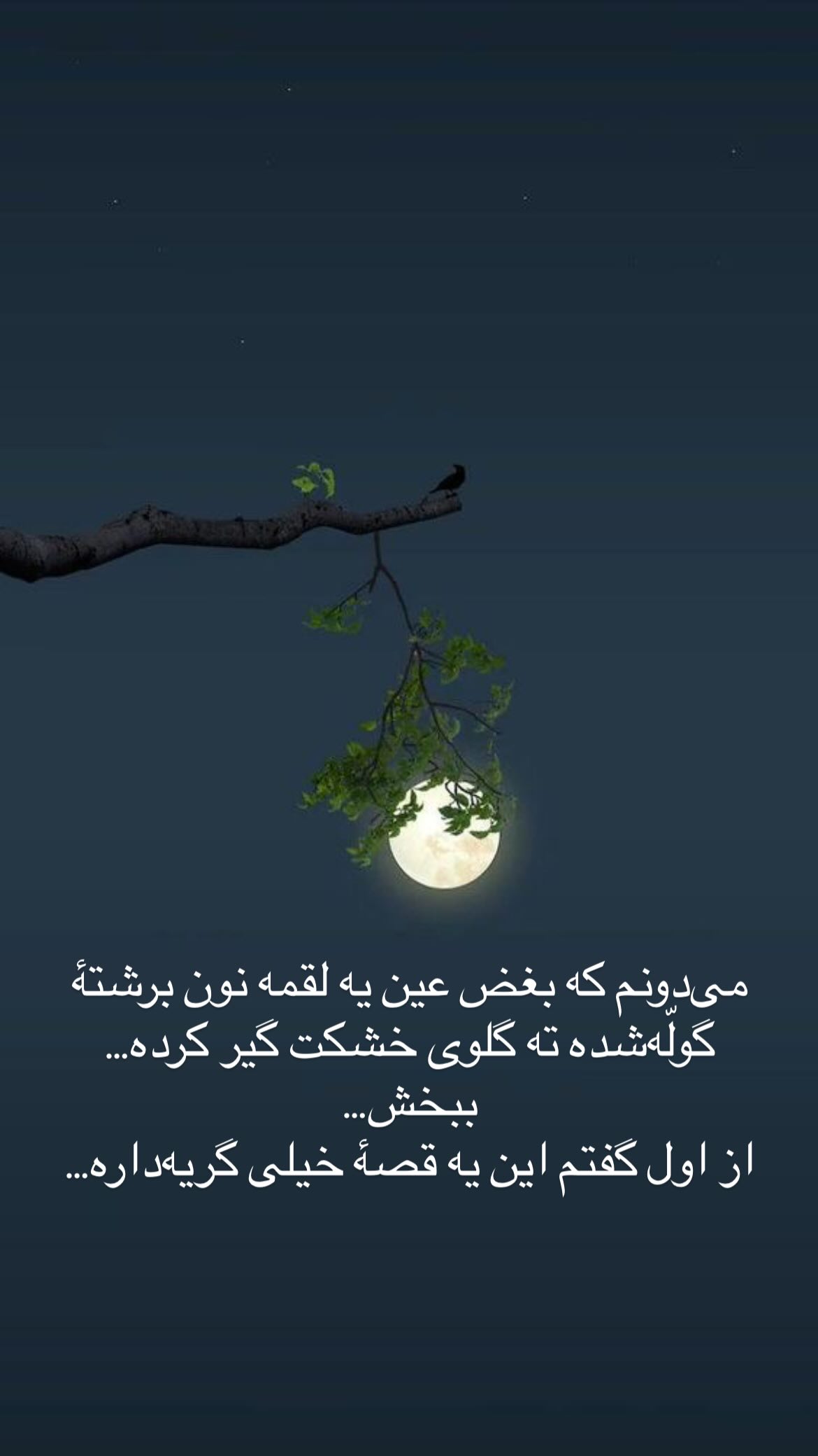  جدید ترین استوری اینستاگرام پرستو علی عسگرنجاد