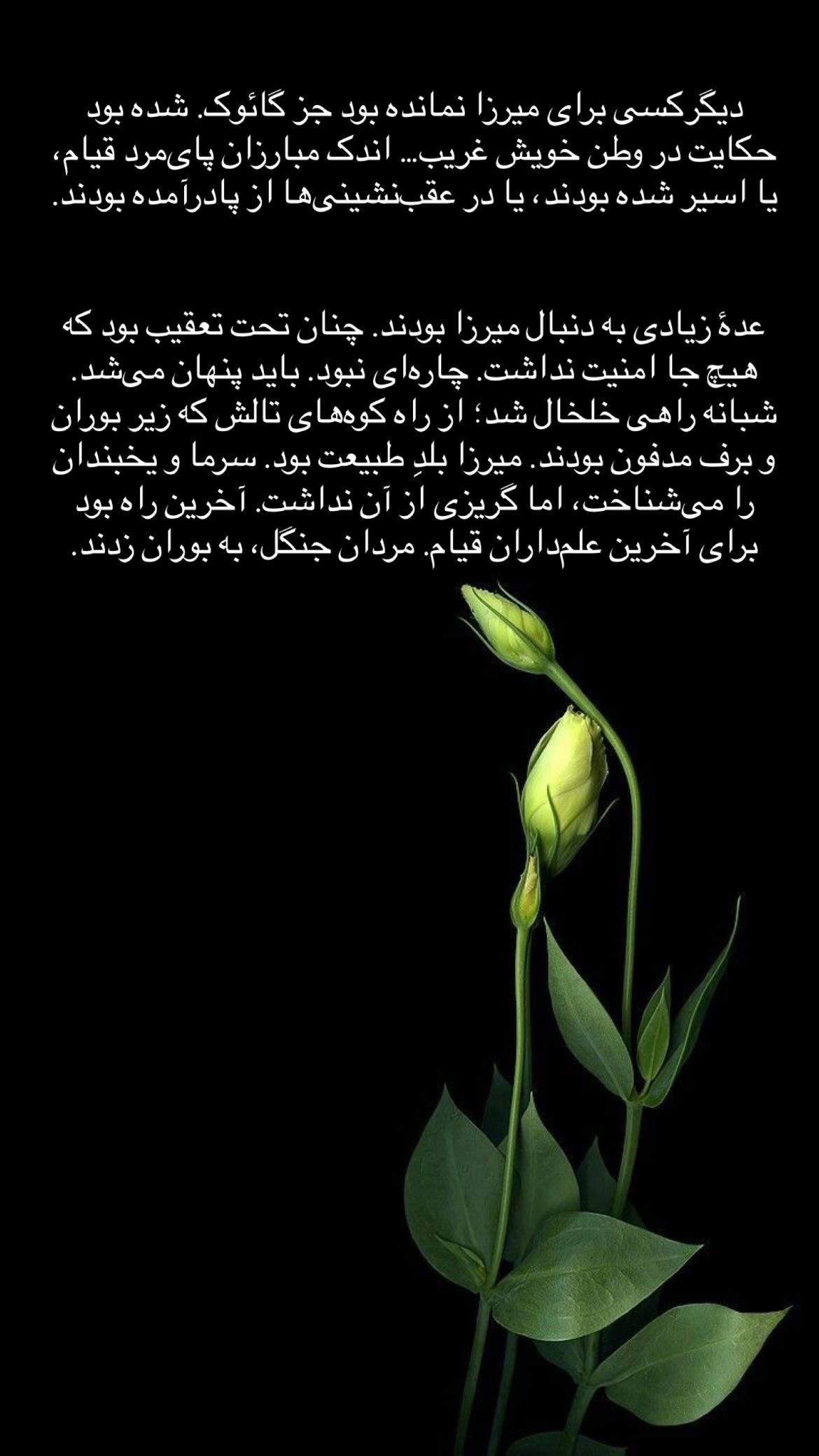  جدید ترین استوری اینستاگرام پرستو علی عسگرنجاد