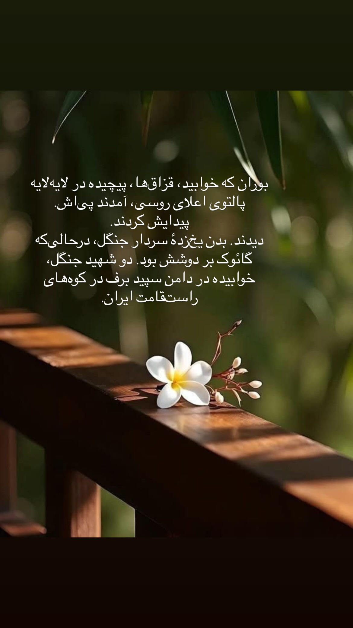  جدید ترین استوری اینستاگرام پرستو علی عسگرنجاد