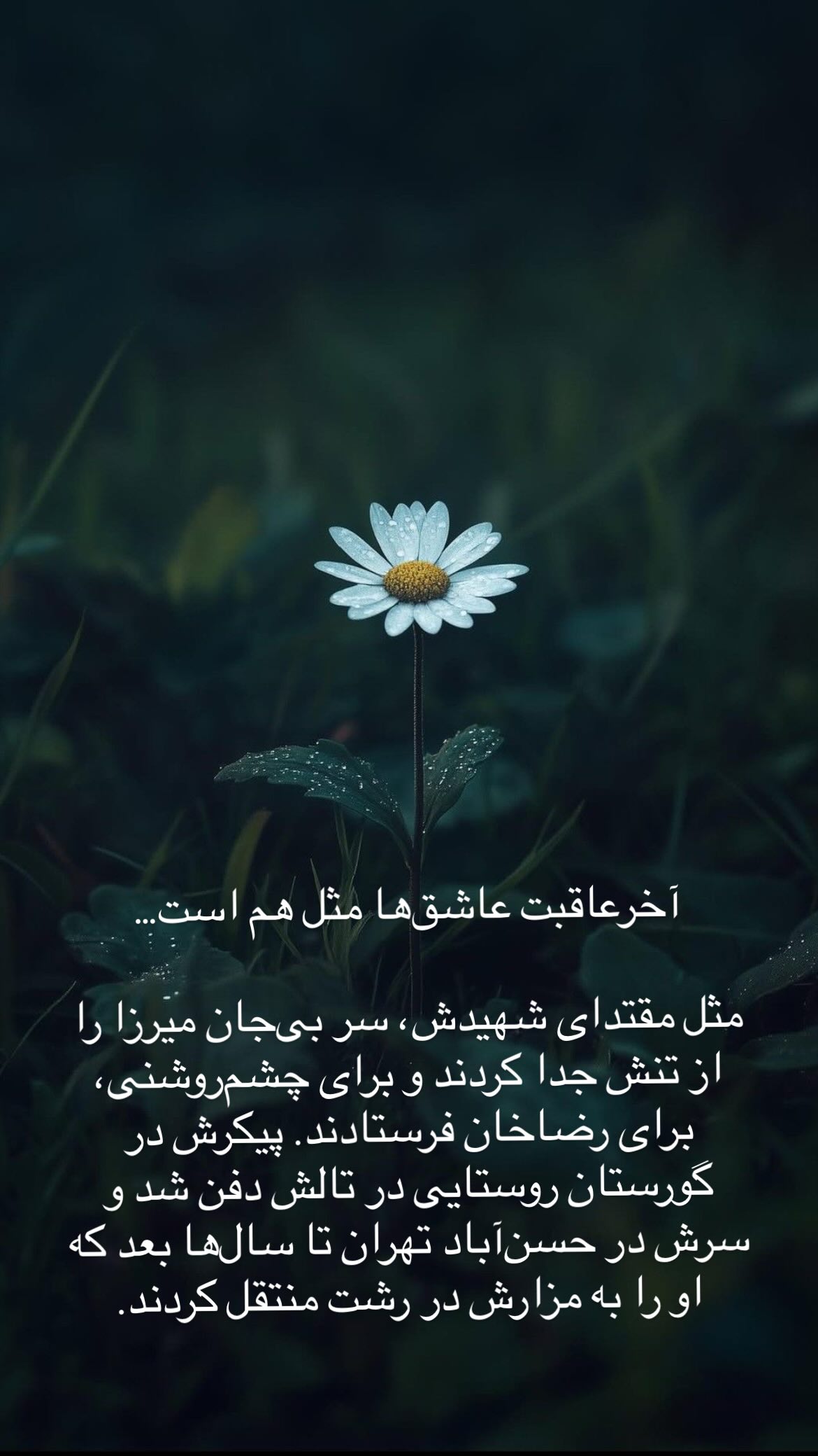  جدید ترین استوری اینستاگرام پرستو علی عسگرنجاد