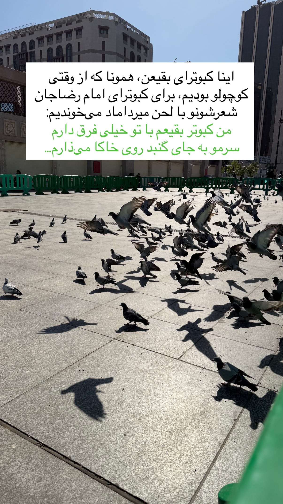  جدید ترین استوری اینستاگرام پرستو علی عسگرنجاد