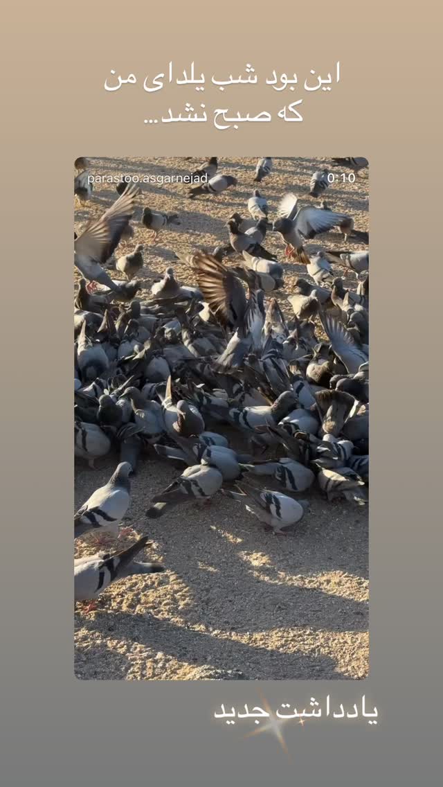  جدید ترین استوری اینستاگرام پرستو علی عسگرنجاد