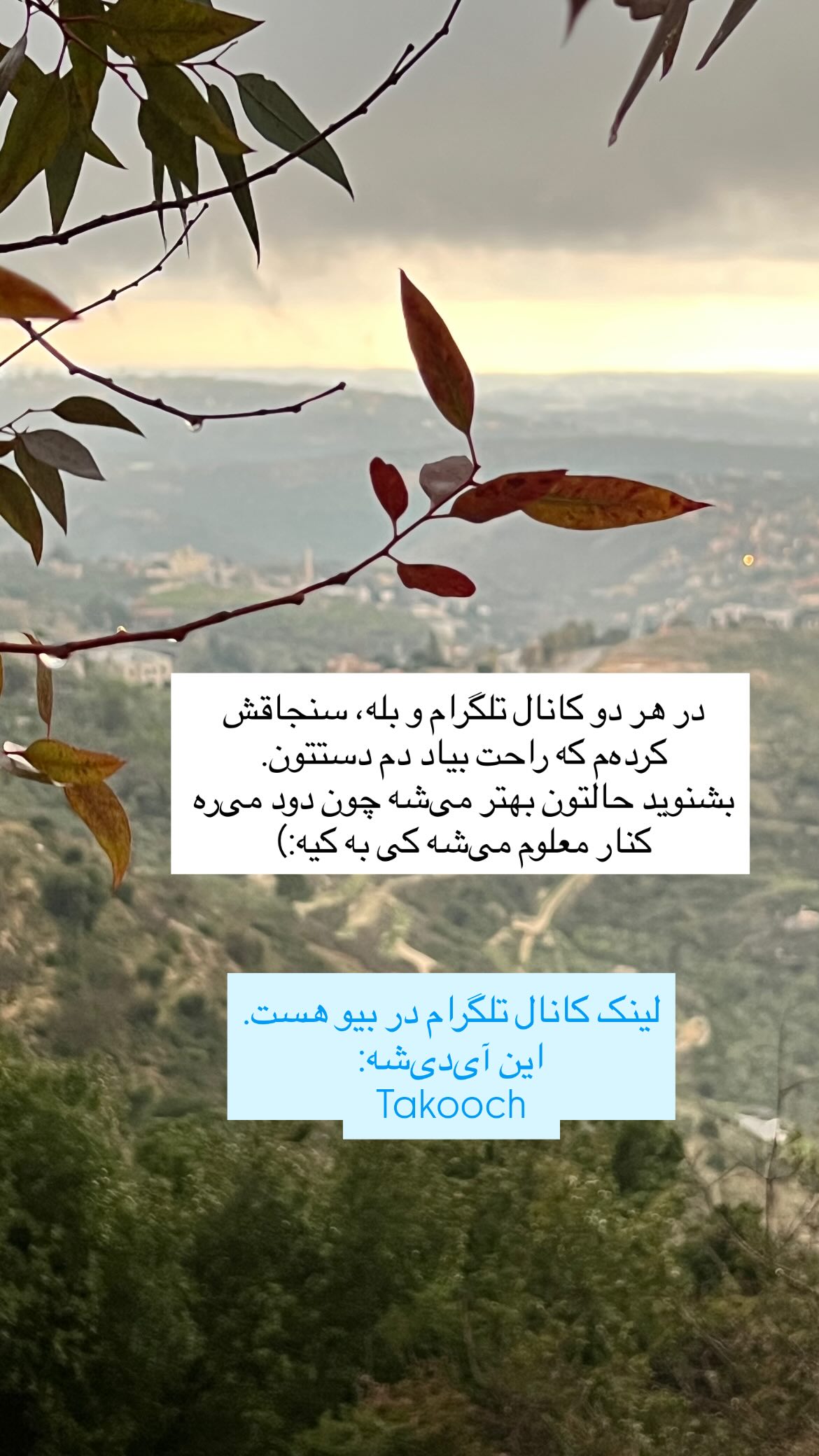  جدید ترین استوری اینستاگرام پرستو علی عسگرنجاد