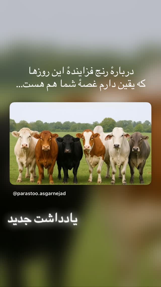  جدید ترین استوری اینستاگرام پرستو علی عسگرنجاد