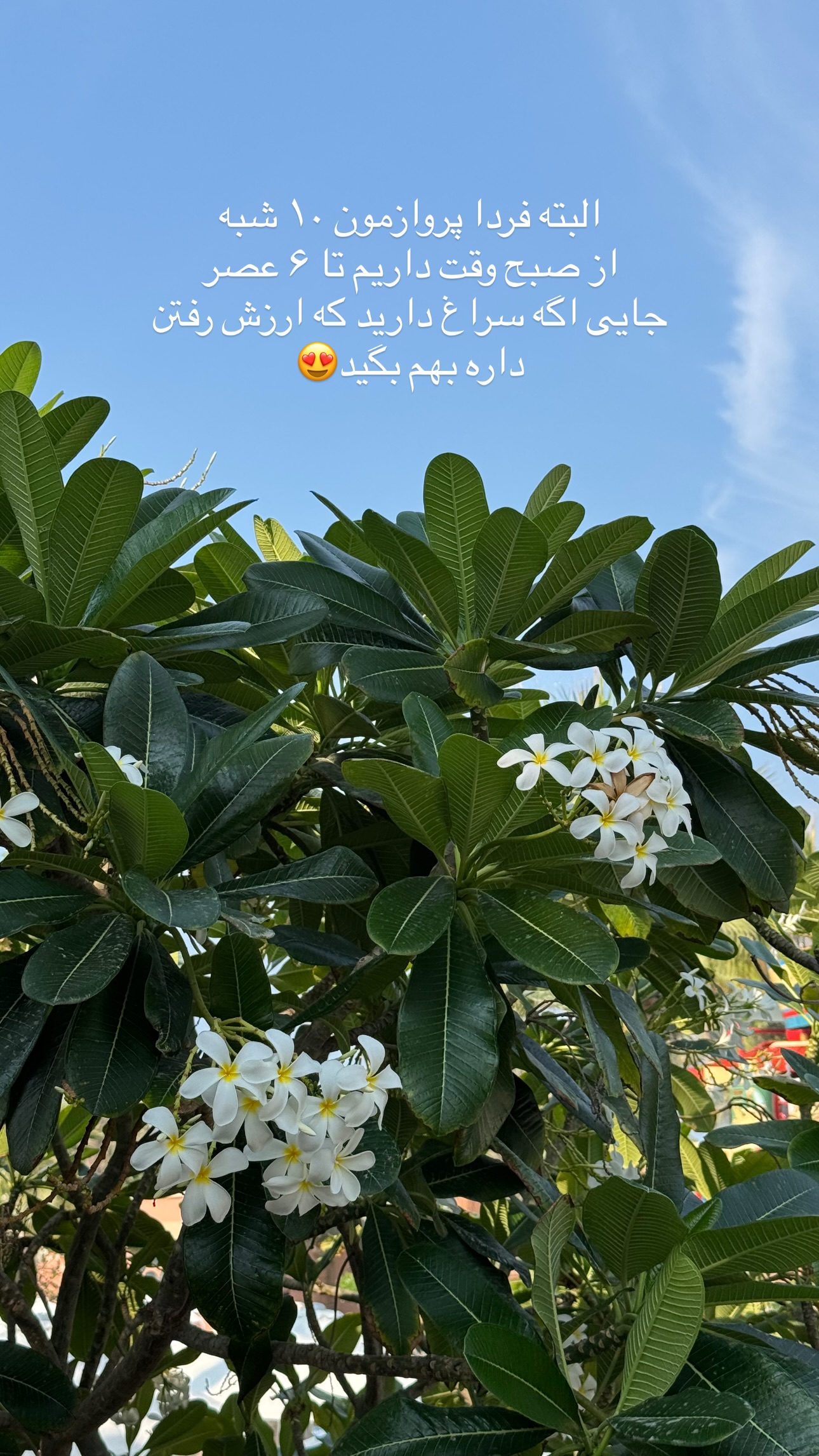  جدید ترین استوری اینستاگرام parastoo.jabbari