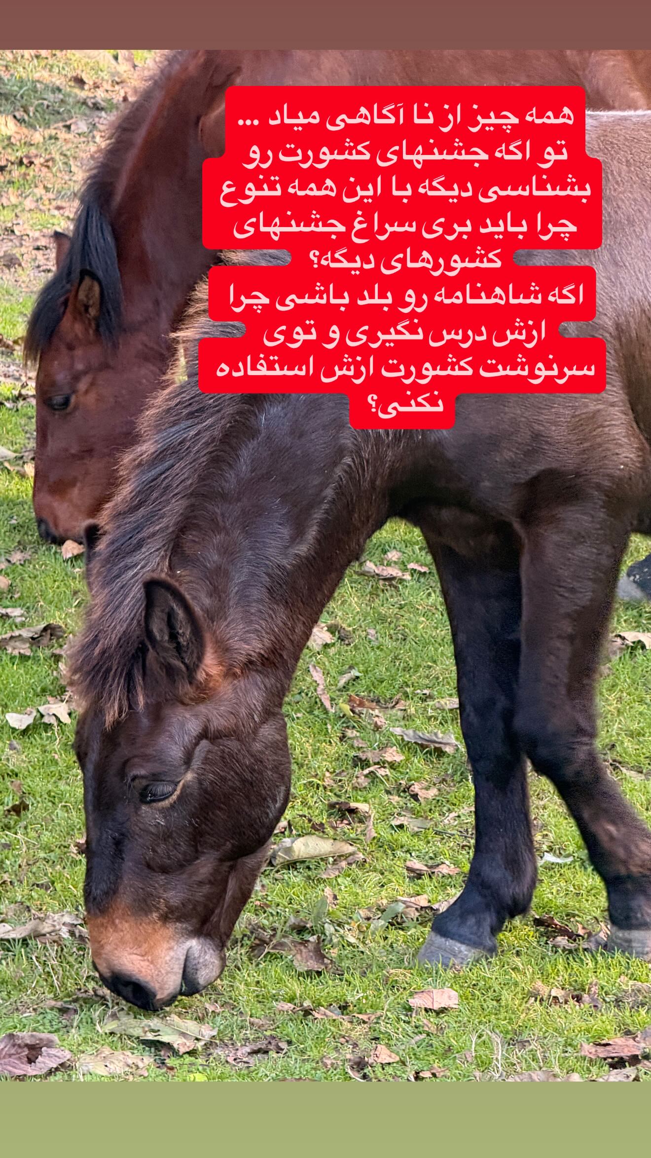  جدید ترین استوری اینستاگرام پرستو زواری