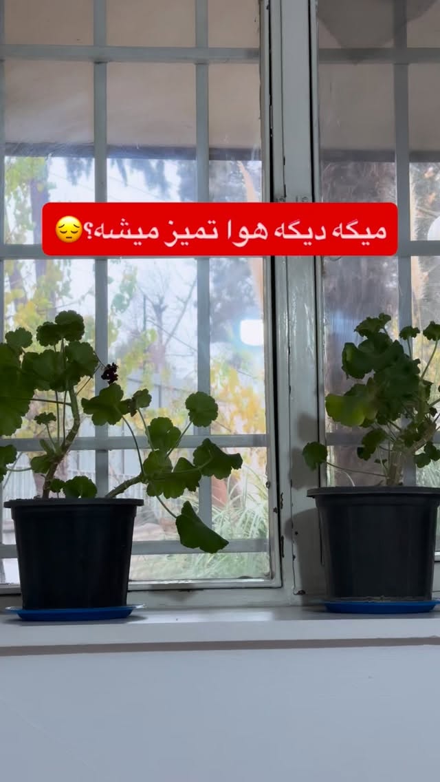  جدید ترین استوری اینستاگرام پرستو زواری