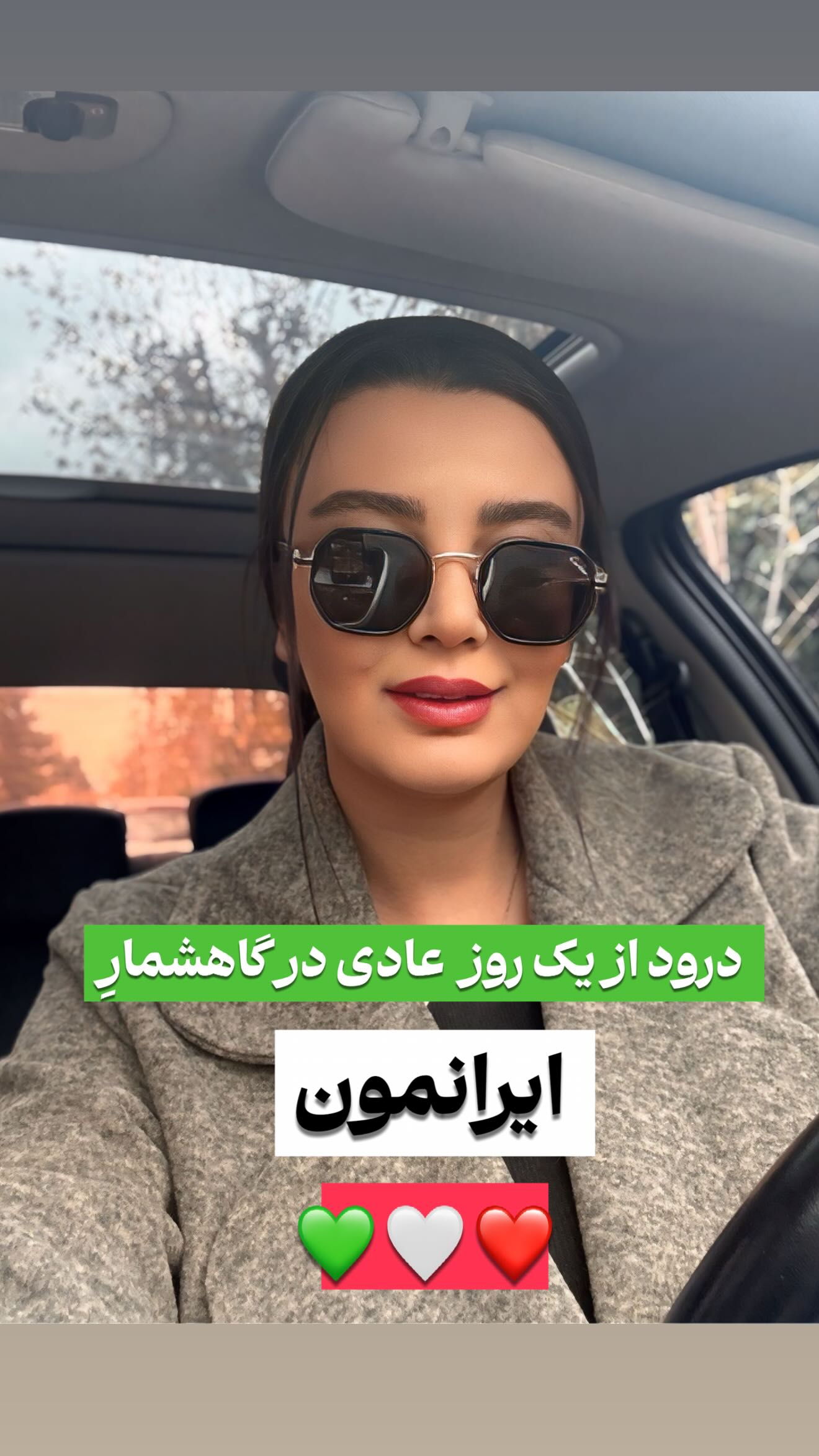  جدید ترین استوری اینستاگرام پرستو زواری
