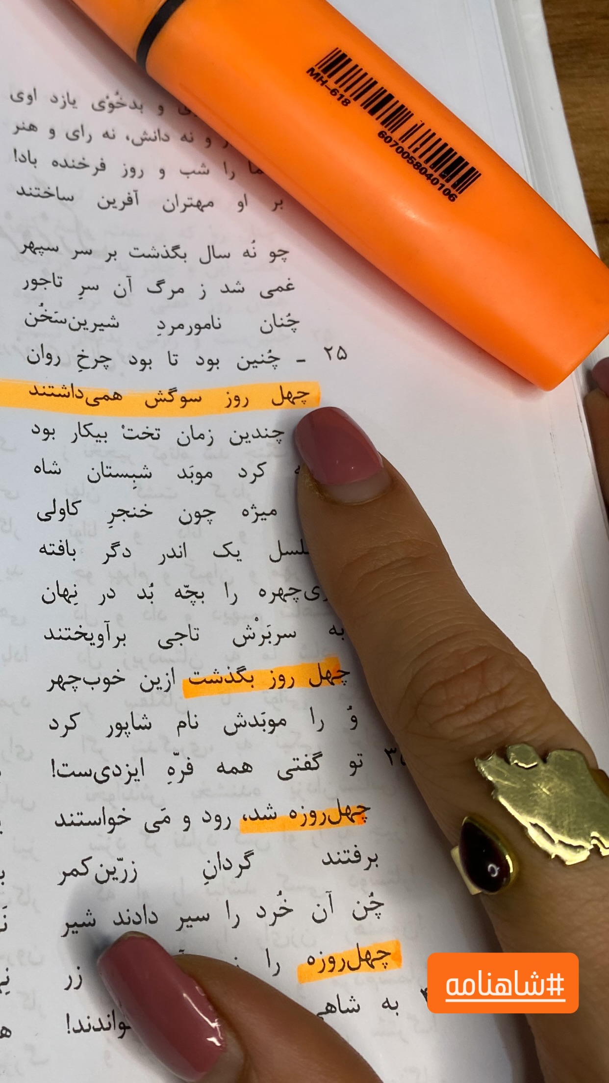  جدید ترین استوری اینستاگرام پرستو زواری